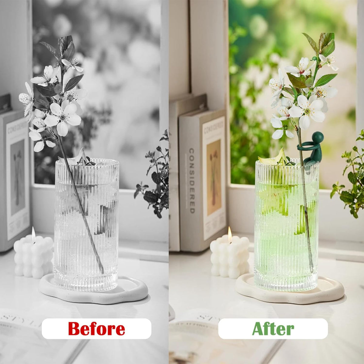 3pcs Plant Propagation Buddy, Propagated Plant Holders,Plant Stem Support,Plant Support for Shoots,Cuttings,Sprouts of Plant Propagation Station & Indoor Garden,Gifts for Plant Lovers