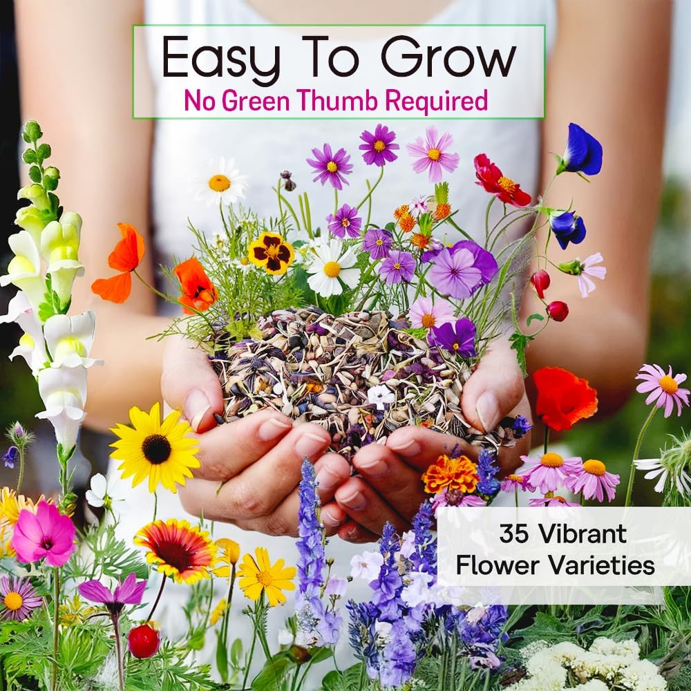 NatureZ Edge Wildflower Seeds Mix – 2 Oz, 85,000 Seeds, 35 Variety Perennial & Annual Flower Seeds to Plant Outside, Bulk Wildflower Seeds, Wild Flower, Semillas de Flores