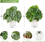 Fake Plants Small Artificial Plants Indoor Set of 2 Faux Plants with Pots Realistic Monstera Fake Potted Plants Artificial Decor for Home Bedroom Aesthetic Bathroom Shelf Living Room Office Table