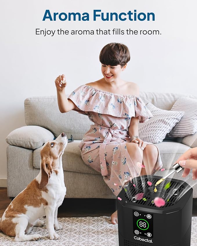 Air Purifier for Home Bedroom, Cobectal Room Air Cleaner with H13 True HEPA 3-in-1 Filter, Aroma Function & Sleep Mode, Desktop Small Air Purifier for Office, Dorm, Hotel, RVs (Black)