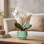 G EPGardening Ceramic Plant Pot - 4 inch Plant Pots with Drainage Hole & Saucer, Small Pots for Plant Indoor Outdoor, Modern Round Planter, Decorative Flower Pot, Room Decor, House Warming Gift, Green