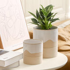 Nihow Self Watering Plant Pot for Indoor Plants: 4.5+6 Inch Ceramic Planter with Drainage Hole & Water Storage Plus - Cylinder Flower Pot with Wick for Herbs -White & Nature