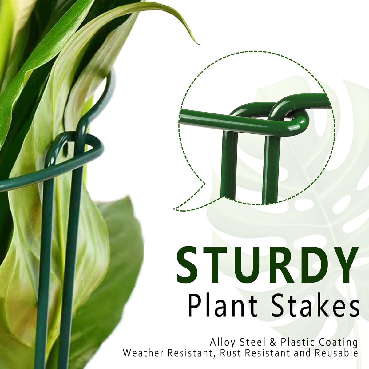 6 Pack Plant Support Stakes, Metal Monstera Plant Support Stakes for Indoor Plants, Large Garden Plant Support Ring, Tomato Cage, Tall Plant Holder Sticks (10" W X 15.8" H)