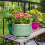 G EPGardening Ceramic Planter - 9 Inch Plant Pot with Drainage Hole and Saucer, Modern Round Planter, Flower Pot for Indoor Outdoor Plants, Garen House Room Decor, Housewarming Gifts, Green