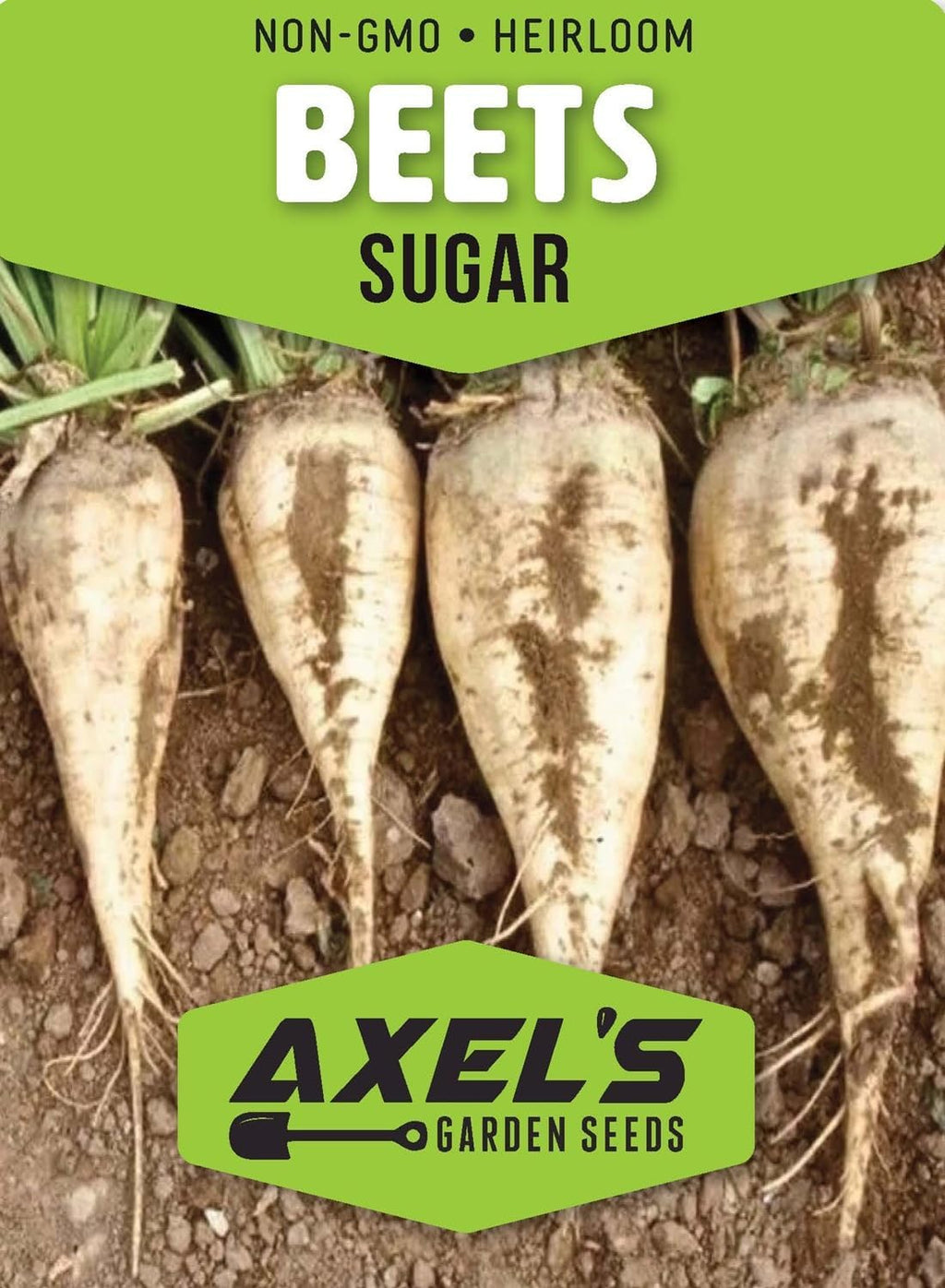 Beet Seeds for Planting - Plant & Grow Heirloom Beet Varieties Home Outdoor Vegetable Garden – Easy Grow Planting Packets, Beta vulgaris – 5 Packets of Each Variety