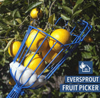 EVERSPROUT Twist-On Fruit Picker Basket, Twists onto Standard US Threaded Pole (3/4-inch ACME), Fruit Picker Head Basket, Fruit Harvesting Tool, Apple, Mango Picker etc. (Head Only, Pole Not Included)