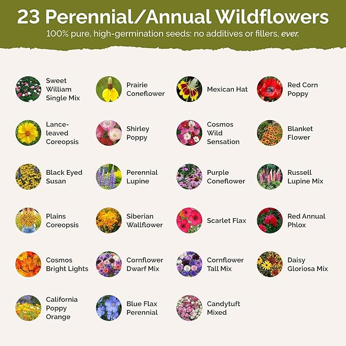 Eden Brothers Iowa Wildflower Mixed Seeds for Planting, 1 lb, 480,000+ Seeds with Cornflower, Candytuft | Attracts Pollinators, Plant in Spring or Fall, Zones