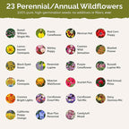 Eden Brothers Iowa Wildflower Mixed Seeds for Planting, 1/4 lb, 120,000+ Seeds with Cornflower, Candytuft | Attracts Pollinators, Plant in Spring or Fall, Zones