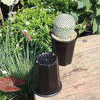 BangQiao 10 Pack 5.30 Inch Black Plastic Deep Nursery and Seedling Pots, Round Planter Container for Transplanting, Cutting, Succulent