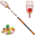 20FT Reach Fruit Picker Pole with Basket Telescoping, Apple Picker with 3-12FT Telescoping Pole for Apple Orange Lemon Mango Avocado Guava Fruit Picking
