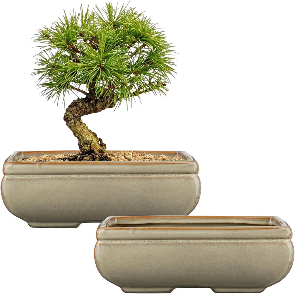 Ceramic Bonsai Pots with Drainage Hole, Set of 2 Rectangular Glazed Bonsai Planters for Indoor/Outdoor Use, Shallow Brown Bonzai Tree Pots for Succulent, Orchids, Cacti, Home, Patio, Garden, 8.7"x5.9"