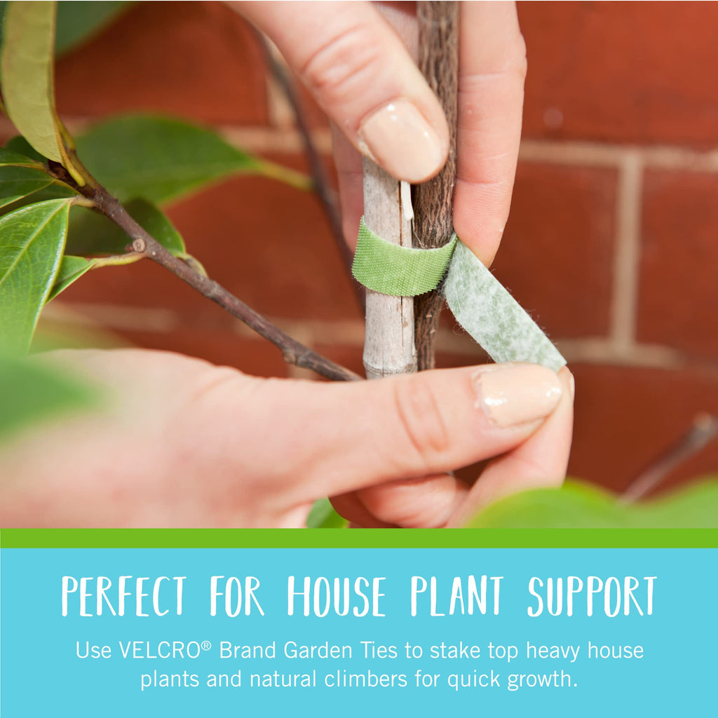 VELCRO Brand Adjustable Plant Ties | 75 ft x 1/2 in Green Garden Tape | Reusable, Cut-to-Length Hook & Loop Plant Support for Staking, Training & Organizing Tomatoes, Vines, and Flowers