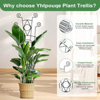 Indoor Plant Trellis for Climbing Plants 2 Pack Small Garden Metal Support for Potted Plants Flowers Houseplants for Outdoor