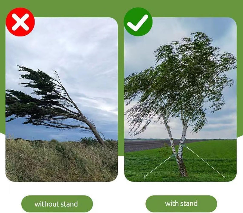 Heavy Duty Steel Tree Stake Kits Tree Stakes and Supports for Leaning Trees Tree Staking and Support Kits for Young Tree Against Bad Weather (1, 12 in)