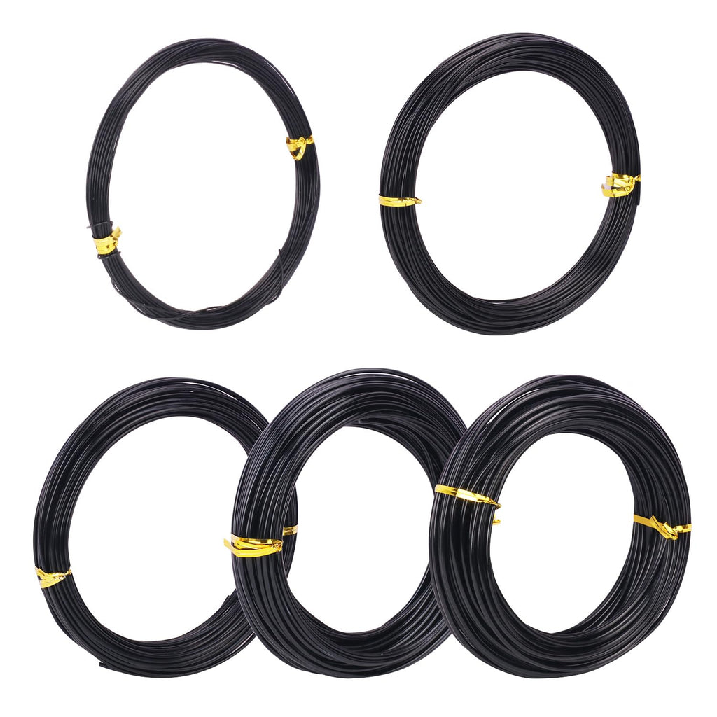 5 Roll Anodized Aluminum Bonsai Training Wire Kit with Bag, Black Bonsai Training Wire, Plant Wire Kit for Bonsai Artists & Beginners by Biugaaufai (1.0mm, 1.5mm, 2.0mm, 2.5mm, 3.0mm,5-Size 328 Feet)