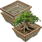 Ceramic Bonsai Pots with Drainage Hole, Set of 2 Rectangular Glazed Bonsai Planters for Indoor/Outdoor Use, Shallow Brown Bonzai Tree Pots for Succulent, Orchids, Cacti, Home, Patio, Garden, 6.3"x4.9"