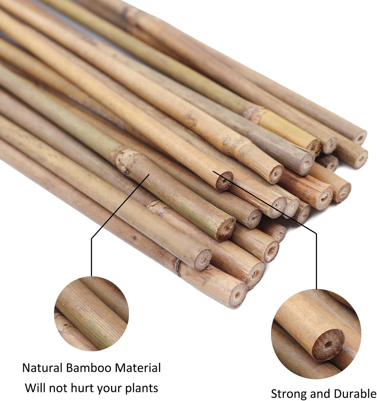 Plant Stakes Natural Garden Bamboo Sticks for Indoor and Outdoor, 20pcs for Tomatoes, Beans, Potted Plants - 18 inches