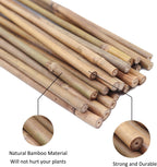 Plant Stakes Natural Garden Bamboo Sticks for Indoor and Outdoor Plants, GAGINANG 20pcs Plant Support Stakes for Tomatoes, Beans, Potted Plants - 16 inches