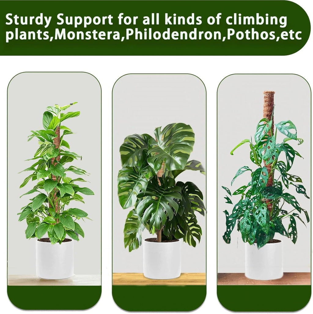 Moss Pole, 4Pack 21 Inch Plant Support Stakes for Indoor Plants, Monstera Plant Support Stakes, 69 Inch Tall Coir Plant Pole Sticks for Potted Plants, Pothos, Philodendron, Climbing Plants Accessories