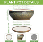 SQOWL Bonsai Planter - 10 Inch Ceramic Succulent Pots, Shallow Plant Pot Indoor with Drainage Hole and Saucer, Ceramic Bonsai Pots, Round Planter Bowl Outdoor, House Decor, Plant Lover Gifts, Brown