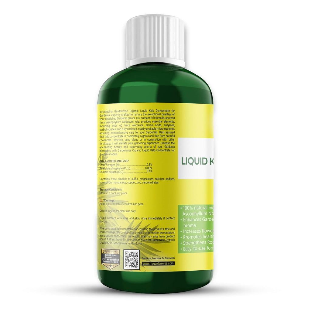 Organic Premium Kelp Seaweed Fertilizer for Gardenia - Liquid Fertilizer - Liquid Plant Food - Nutrient-Rich Soil Enhancer - Natural Plant Food for Gardenia Plant (32 OZ)