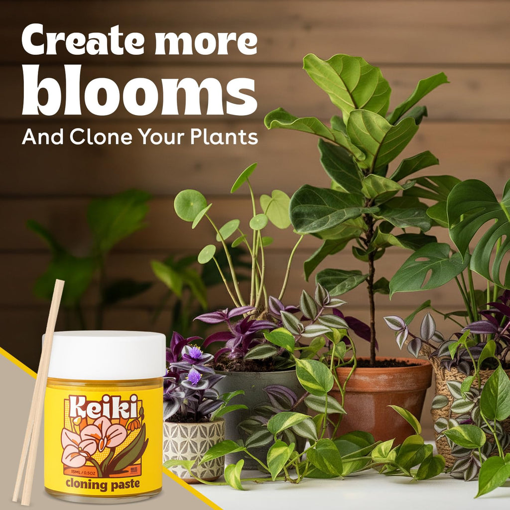 Keiki Paste for Plants to Clone & Create New Growth - 2X The Paste - Rapid Start Cloning Gel for House Plants - Keiki Cloning Paste for Plants- Nutrient Rich Plant Growth Gel - 0.5oz