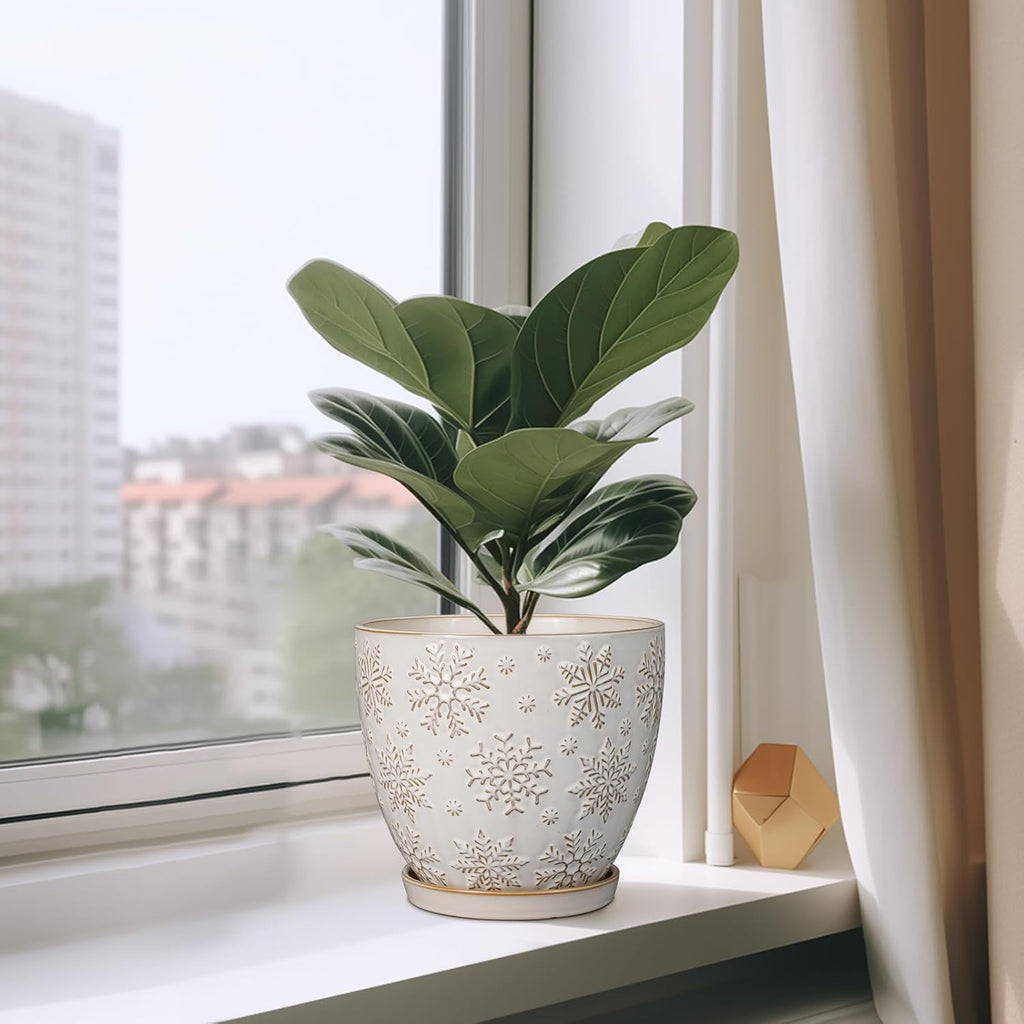 Ceramic Planter 8 Inch Plant Pot with Drainage Hole and Saucer Ceramic Pots for Indoor Plants Outdoor Large Flower Pot for Home Decor White