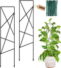 17.5 Inch Indoor Plant Trellis for Climbing Plants,Metal Trellis,Small Garden Trellis for Potted Plants,Plant Stakes for Indoor Plants Accessories Hoya,Flower,Plant Support (Star-Metal)
