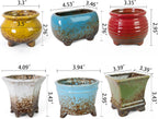 ARTKETTY Succulent Pots - Small Succulent Plant Pot with Drainage Set of 6, Ceramic Cactus Planter Pots for Indoor Unique Flower Planter Container for Home Office Decor