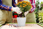 7 Inch Plant Pots 5 Pack, Flower Planters with Drainage Holes and Trays,Plastic Pots for Indoor Outdoor Plants,White