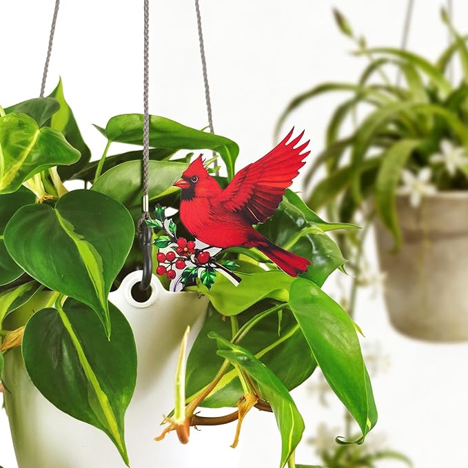 Hummingbird Gifts for Women Mom Grandma - Humming Bird Plant Lover Mothers Day Birthday Gifts Cardinal Garden Decor - Hanging Planters for Indoor Outdoor Cardinal Plants Pots Accessories