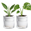 D'vine Dev 4 Inch Design Self Watering Planter for Indoor Plants, White Terracotta Pots with Cylinder Glass Cup, Set of 2, 37-Y-A-2