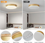 Modern Dimmable Gold Ceiling Light with Remote, 11.8in Flush Mount Ceiling Light, 24W 3000K-6000K Light Color Adjustable, 2200LM Round Ceiling Lamp Fixtures for Bedroom, Living Room, Hallway
