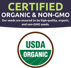 Organic Container Garden Seeds Variety Pack - 10 Individual Packs - 2025 Season - Ruquette arugula, Genovese Basil and More! for Indoor & Outdoor Planting (Non-GMO, Certified Organic)
