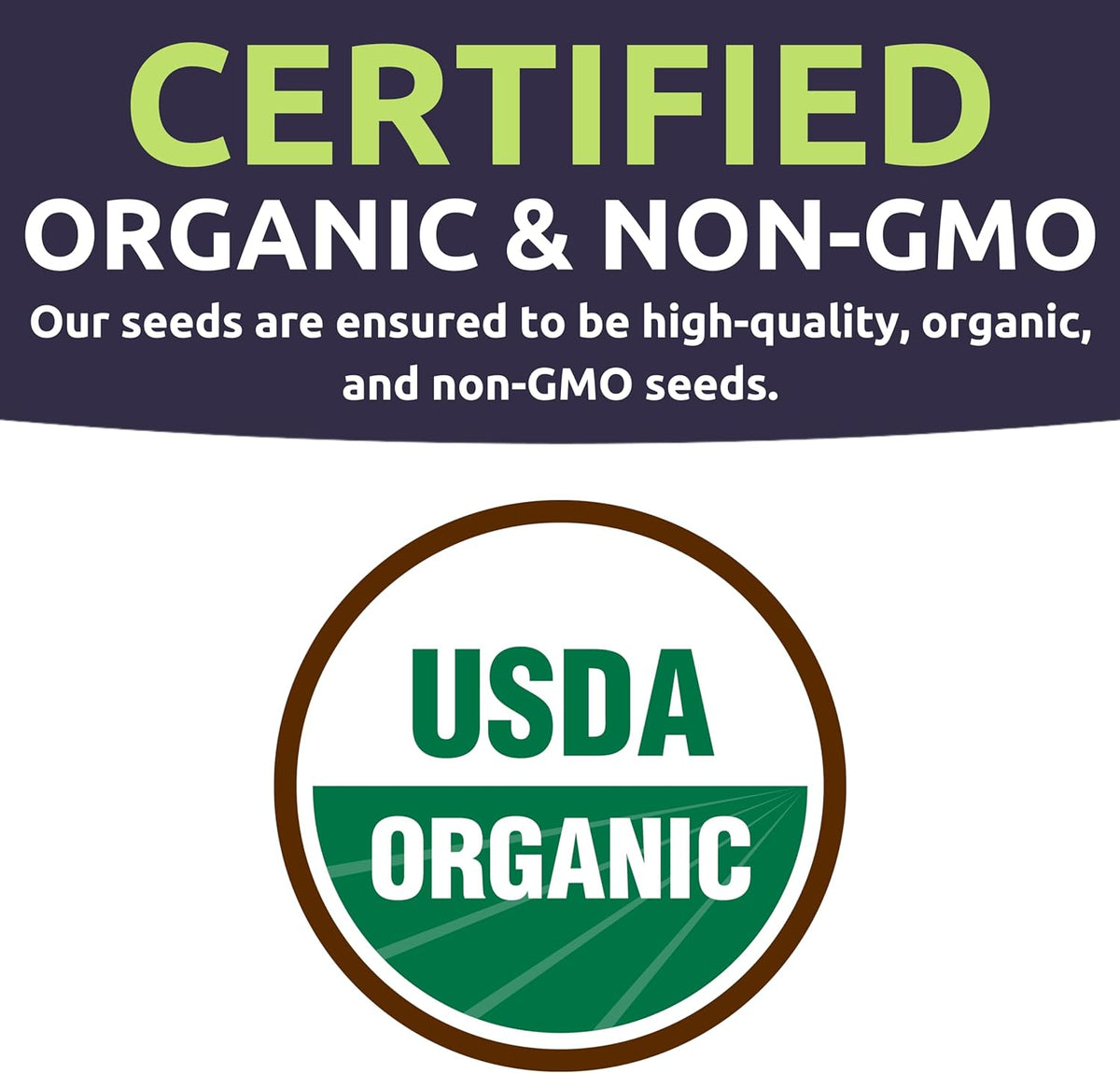 Organic Summer Seeds Variety Pack - 12 Individual Packs - 2025 Season - Basil, Tomatoes, Cucumber, Watermelon and More! for Indoor & Outdoor Planting (Non-GMO, Certified Organic)