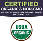 Organic Lettuce & Greens Seeds Variety Pack - 10 Individual Packs - 2026 Season - Buttercrunch, Arugula, Romaine, Kale and More! for Indoor & Outdoor Planting (Non-GMO, Certified Organic)