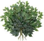 12PCS Ficus Leaves Artificial Branches 24" Faux Ficus Greenery Tree Branches Fake Ficus Leaves Sprays for Tree DIY Arch Wedding Wall Decor - Green