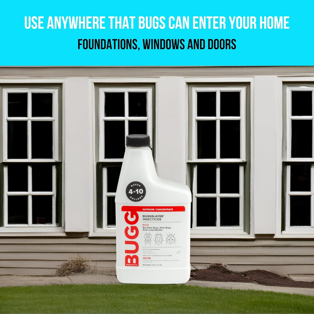 BUGGSLAYER Insecticide - Concentrate - Outdoor Box Elder Bugs, Stink Bugs, Asian Lady Beetles - 16 oz Bottle
