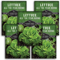 All The Year Round Lettuce Seed for Planting - 5 Packets with Instructions to Plant & Grow Adaptable Salad Greens in Your Home Vegetable Garden - Non-GMO Heirloom Variety - Survival Garden Seeds