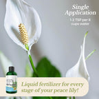 Professional Liquid Peace Lily Plant Fertilizer | 3-1-2 Concentrate for Plants and Flowers | Multi-Purpose Blend & Gardening Supplies | 8 oz Bottle