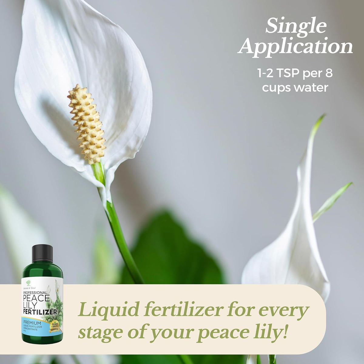 Professional Liquid Peace Lily Plant Fertilizer | 3-1-2 Concentrate for Plants and Flowers | Multi-Purpose Blend & Gardening Supplies | 8 oz Bottle