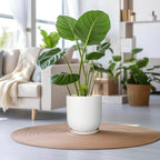 Plant Pot 12 inch - Ceramic Pot for Plants Indoor Outdoor Large Planter Pot with Drainage Hole and Saucer Mid-Century Modern Flower Pot Cylinder White