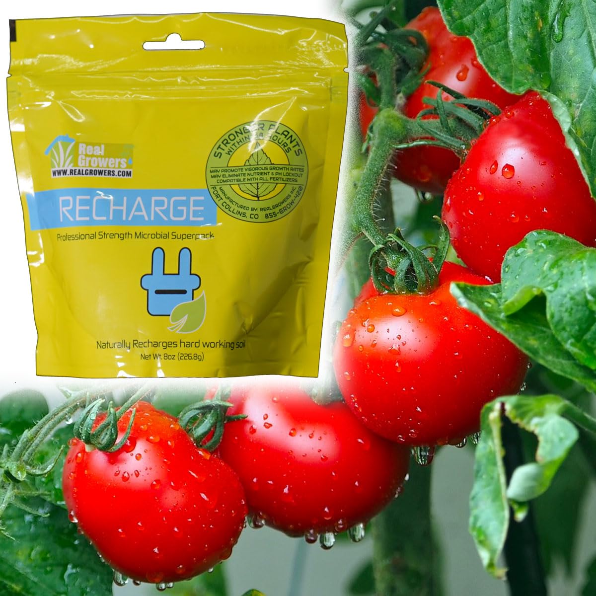 Real Growers Recharge - Mycorrhizae Instant Compost Tea/Soil Microbes for Plant Growth - 16oz