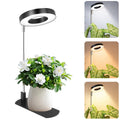 LBW Grow Lights for Indoor Plants, Full Spectrum Halo Grow Light with Base
