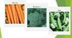 Premium Winter Vegetable Seeds Collection for Planting Organic Non-GMO Heirloom Seeds Radish, Pea, Broccoli, Beet, Carrot, Cauliflower, Green Bean, Kale, Arugula, Gardner and Chef Favorites