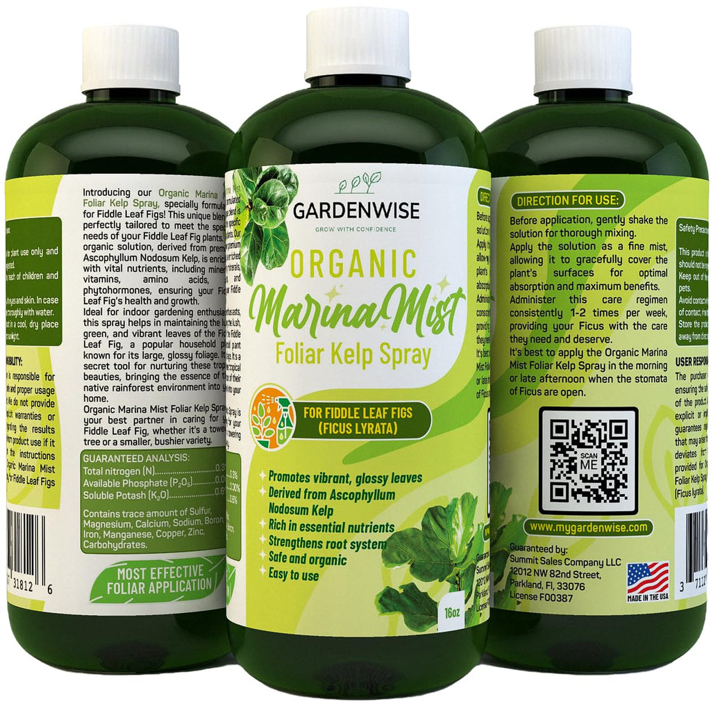 Organic Marina Mist Foliar Spray for Fiddle Leaf Fig and Other Ficus Trees | Micro Nutrients for Vital Health | Gentle Formula | Liquid Plant Food | Quick Results | Ready to Use (8 OZ)