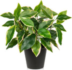 Artificial Plants Indoor Small Fake Plants in Pots Faux Pothos N‘ Joy Potted Plant Fake Indoor Plants with Black Pots for Bathroom Living Room Office Desk Shelves