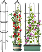 Garden Obelisk Trellis for Climbing Plants Outdoor 6.2 Ft Rose Bush Round Trellis for Pots Rustproof Metal Plant Flower Trellises for Clematis Vine Jasmine Support Outdoor Indoor (Black, 6.2ft)