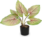 Briful 22'' Tall Fake Plants Artificial Caladium Plants in Black Pot Realistic Potted Faux Plant Indoor for Home Decor Wedding Farmhouse Centerpiece, Wide Yellow-Pink Leaf