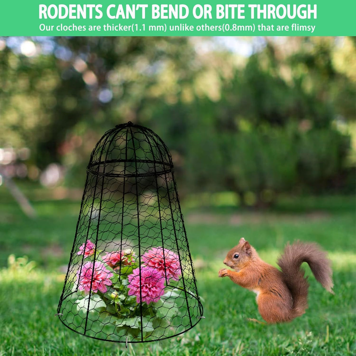 Garden Cloches for Plants Extra Large Sapbontchi Garden Cloche Chicken Wire Cloche for Plants Cages Cover Plant Protectors from Animals in Outdoor Vegetable Garden Set of 6 Plant Cloche 20" H x 12" D